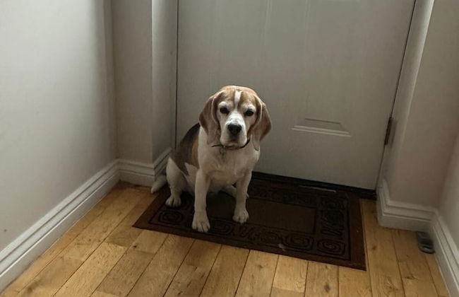 Dog Friendly - 4 Bed House - Sleeps 10 - Pool Table - Foto 2