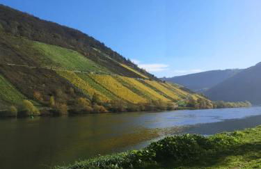 Ferienhaus zur Weinfee - Foto 43