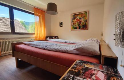 Familien-Ferienwohnung Lichtenstein (BW) - Foto 4