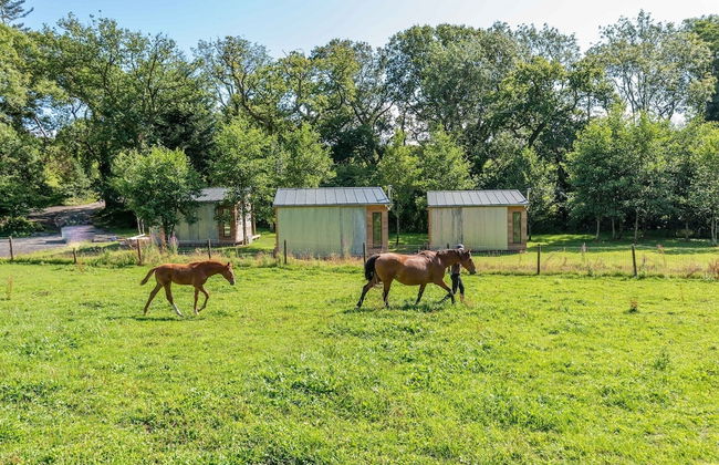 Sunset Cabins at The Oaks Woodland Retreat - Foto 17