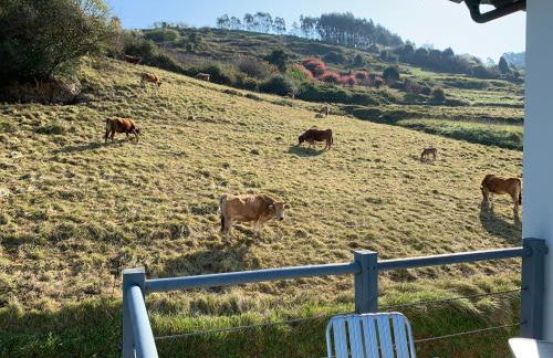 Casa Paloma - Foto 42