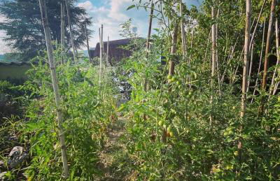 Agriturismo Poderi Zunino - Foto 75