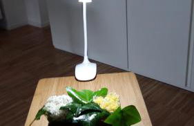 La casetta di Flavia :guest house molto accogliente - Foto 16