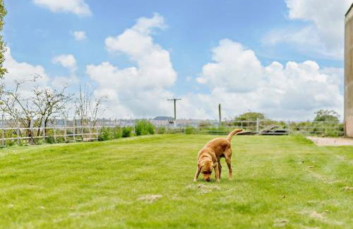 1 Bed in Doncaster oc-93151 - Foto 22