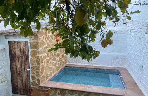 Casa Limón - Photo 26