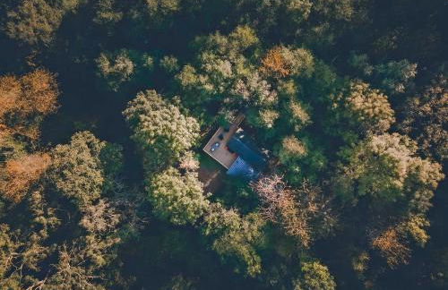 Ty Nant Treehouse - Ukc7800 - Foto 15