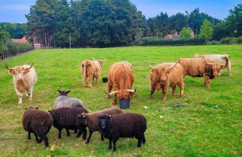 3 Bed in Kings Lynn oc-96036 - Foto 23