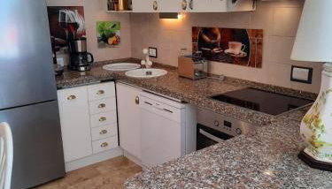 Apartment with Panoramic Lake View & Terrace in Pino, Lago Maggiore - Casa Roccia No 5 - Foto 5, stove, dishwasher