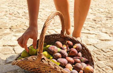 Quinta dos Padrinhos - Suites in the Heart of the Douro - Foto 44