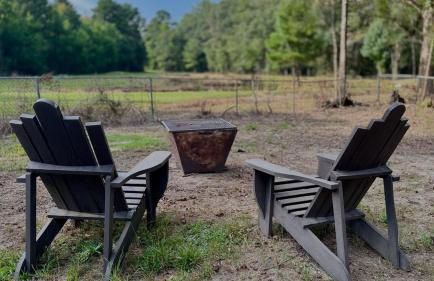 Country Retreat with ponds-views-porches & pups - Foto 66