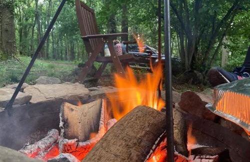 2 Guests - Pet Friendly - Traditional Gypsy Vardo - Foto 14