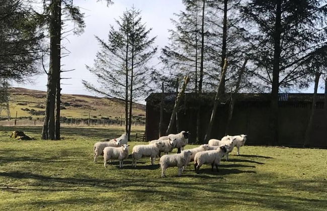 Stunning Luxury Duplex With Hot Tub and Aircon - Foto 35