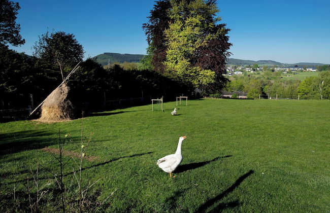 Domaine de Priesmont - Photo 32