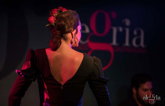 Espetáculo de flamenco no Alegría - Foto 3