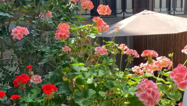 A casa di Rachele - Photo 3