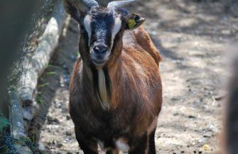 A Casa Del Tosi - Foto 50