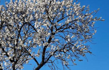 Ferienwohnung bei Tanja und Marcus - Foto 25