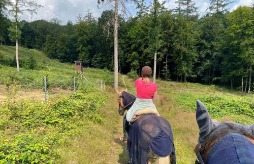 Geräumiges Ferienhaus im Teutoburger Wald - Foto 16
