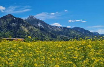 Ferienwohnung 3 - Foto 8