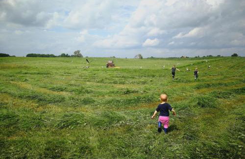 Stara Stolarnia - Foto 32