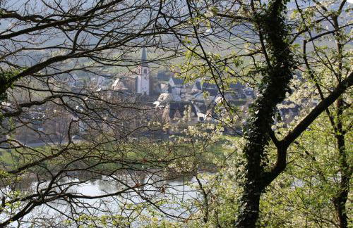 Ferienwohnungen Am Bruttiger Moselsteig - Foto 74
