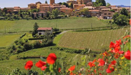 Beaujolais - Maison pierres dorées - Photo 2