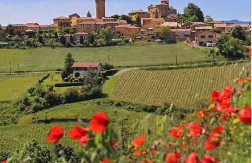 Beaujolais - Maison pierres dorées - Foto 2