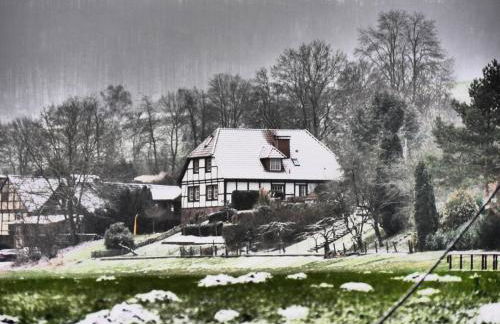 Ferienwohnung Weserblick Polle - Foto 42