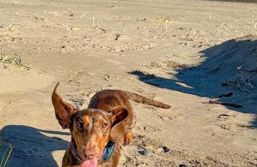 Dune View Caravan - Foto 11