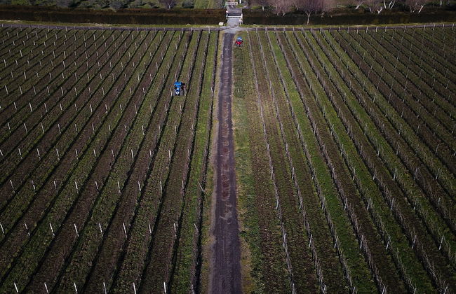 Villa Cavalletti - Foto 59