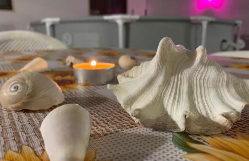 The Sunflower - Foto 41