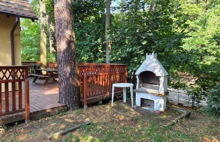 Żółty Domek nad Jeziorem Lubniewice - Foto 6