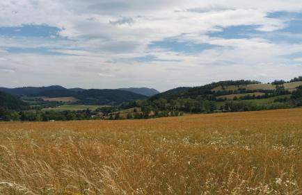 Maraśka Holiday House - Foto 40