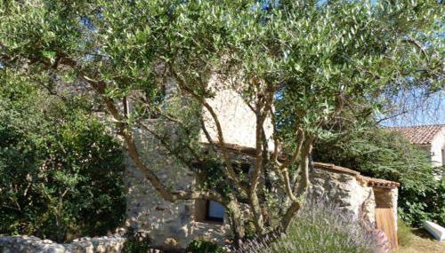 Les Gîtes De La Chérine - Foto 3, Other