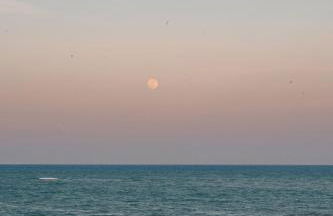Loft beira-mar com frente e vista para o mar - Photo 61