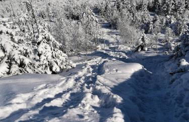 Ferienwohnung zur alten Schmiede - Foto 42
