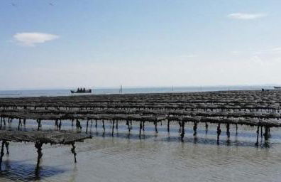 CAP Baie Malo - Foto 6