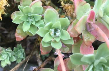 La Huberdière - Foto 22