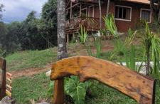 Recanto do Leão - Foto 3