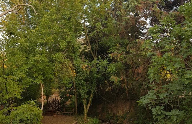 Il Ruscello di Ceraso - Foto 19