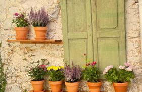 Casa de pueblo con encanto en Ojo Guareña, Pet friendly - Photo 2