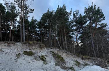 Wygodny eko domek koło nadmorskiego Parku Krajobrazowego - Foto 42