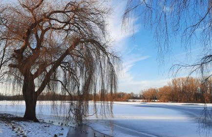 Ferienwohnung Brunnenstrasse - Foto 23
