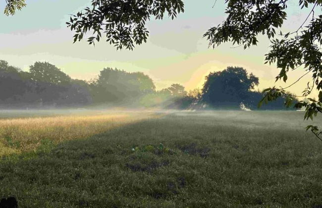 Holiday Apartment Schwarting in Wiefelstede - Foto 8