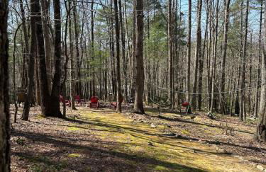 Bearly Behavin - Foto 54