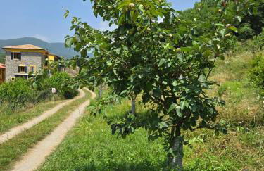 Sole di Bagnone - Photo 34