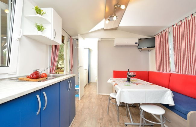 Iva - Great Garden - H - Photo 9