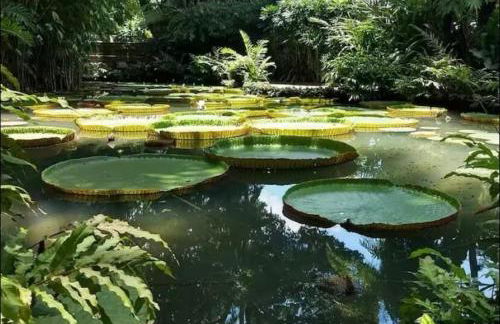 Apart de 2 qtos - Nazaré - Atrás da Basílica de Nazaré - Foto 9