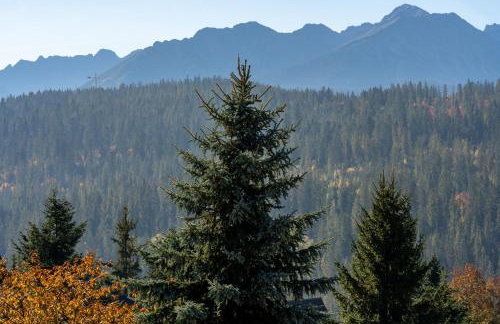 Domki WIDOKÓWKA -domki z balią na wyłączność - Foto 53