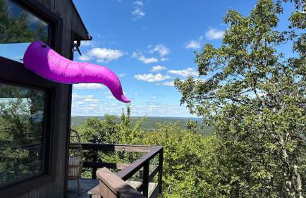 Mountain Top! Family Paradise w Hot Tub & Game Rm - Foto 11